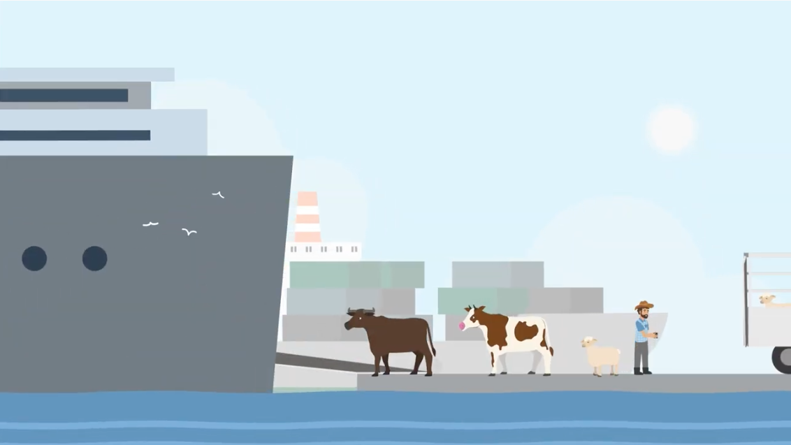 Case Study: The Livestock Collective Explainer Animation
