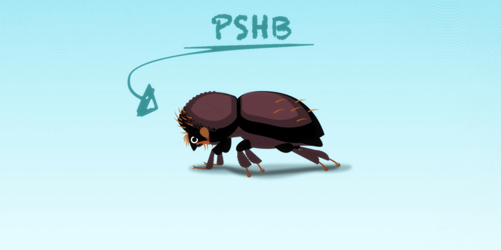 Animation: Tiny Beetle, Big Threat in Perths Suburbs
