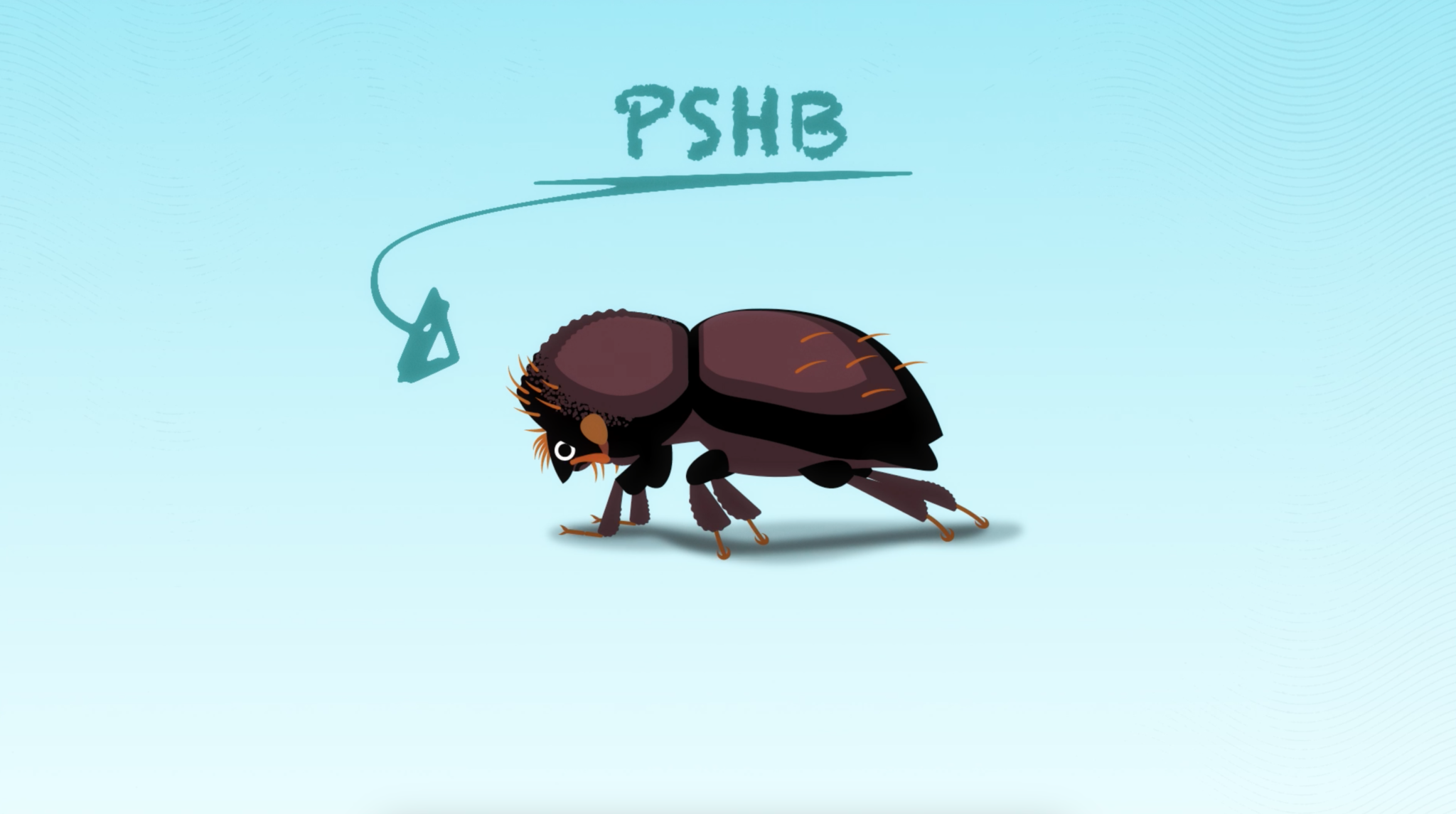 Tiny Beetle, Big Threat