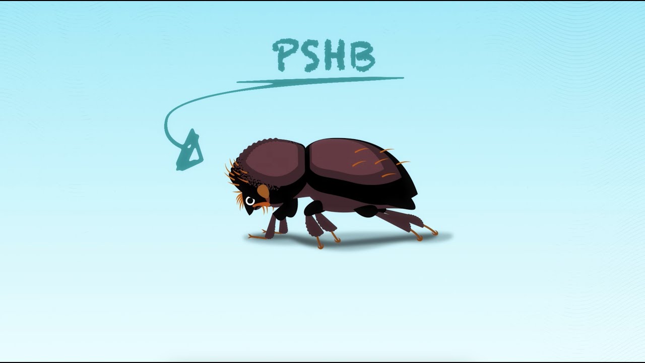 2D animation still 2